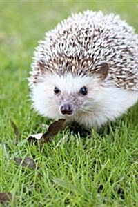 Tan Hedgehog, for the Love of Animals: Blank 150 Page Lined Journal for Your Thoughts, Ideas, and Inspiration (Paperback)