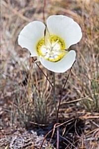 Mariposa Lily Flower Journal: 150 Page Lined Notebook/Diary (Paperback)