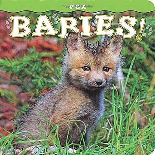Fox Babies! (Board Books)