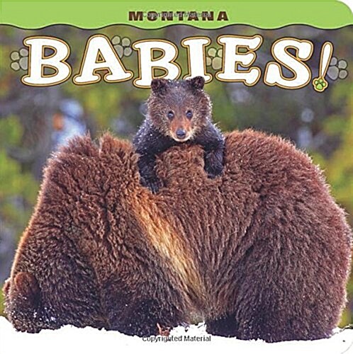 Montana Babies! (Board Books)