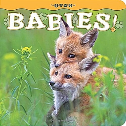 Utah Babies! (Hardcover)