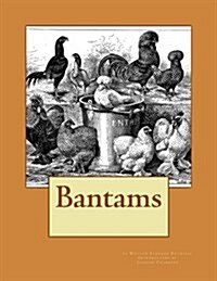 Bantams (Paperback)