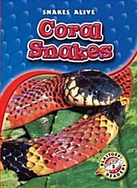 Coral Snakes (Paperback)