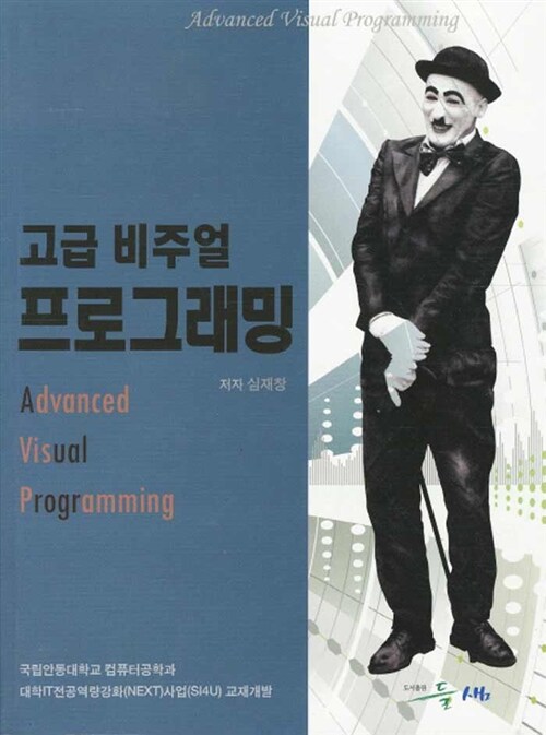 고급 비주얼 프로그래밍