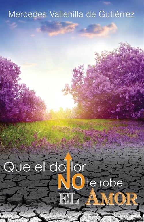 Que El Dolor No Te Robe El Amor (Paperback)