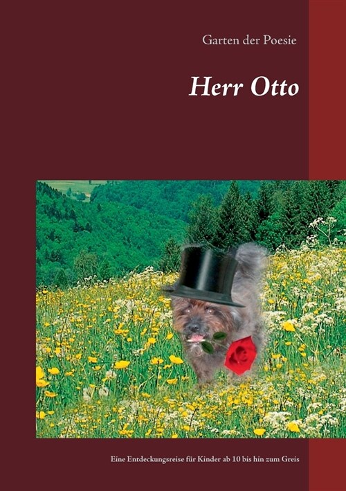 Herr Otto: Eine Entdeckungsreise f? Kinder ab 10 bis hin zum Greis (Paperback)