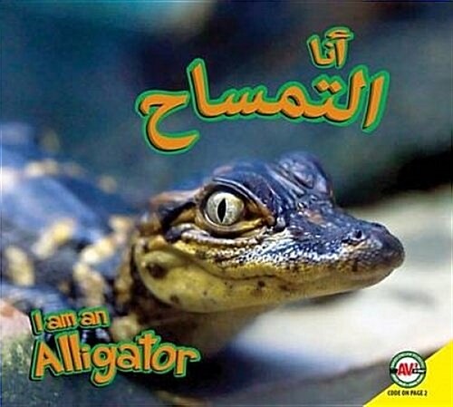 Alligator: Arabic-English Bilingual Edition (Hardcover)