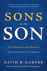 Sons in the Son: The Riches and Reach of Adoption in Christ (Paperback)