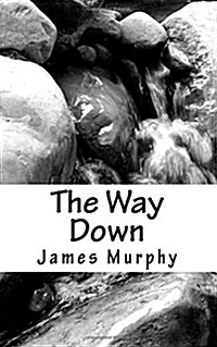 The Way Down (Paperback)