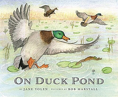 On Duck Pond (Hardcover)