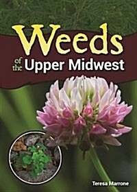 Common Backyard Weeds of the Upper Midwest (Paperback)