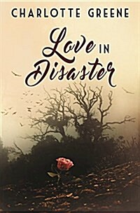 Love in Disaster (Paperback)