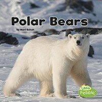 Polar Bears (Paperback)