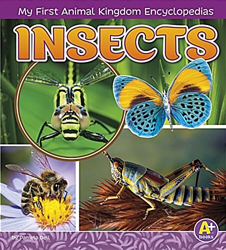 Insects (Hardcover)