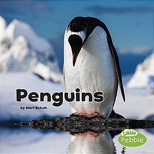 Penguins (Hardcover)