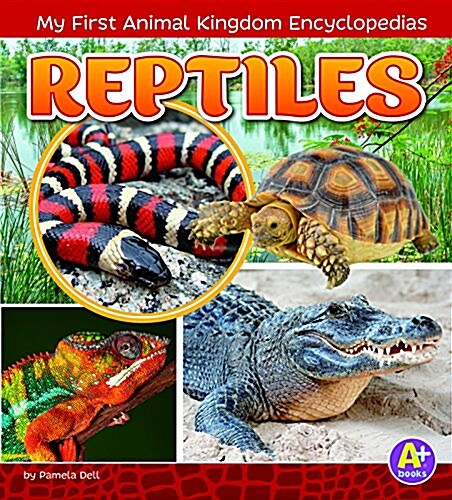 Reptiles (Paperback)