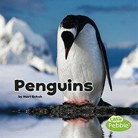 Penguins (Paperback)