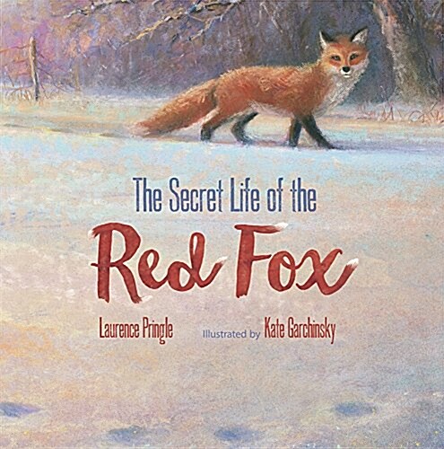 The Secret Life of the Red Fox (Hardcover)