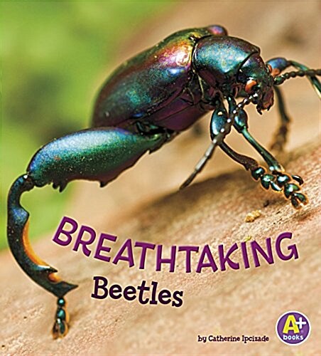 Breathtaking Beetles (Hardcover)