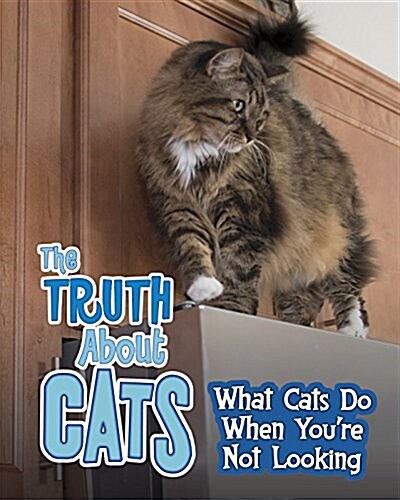 The Truth about Cats: What Cats Do When Youre Not Looking (Hardcover)