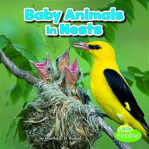 Baby Animals in Nests (Paperback)