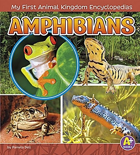 Amphibians (Hardcover)