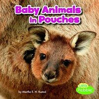 Baby Animals in Pouches (Paperback)