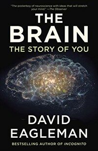 The brain : the story of you