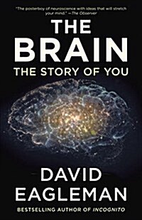The Brain: The Story of You (Paperback)