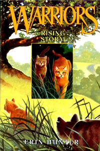 Rising Storm (Paperback)