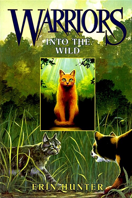 [중고] Into the Wild (Paperback)