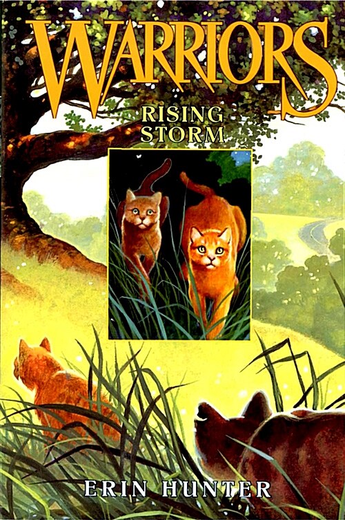 Rising Storm (Paperback)