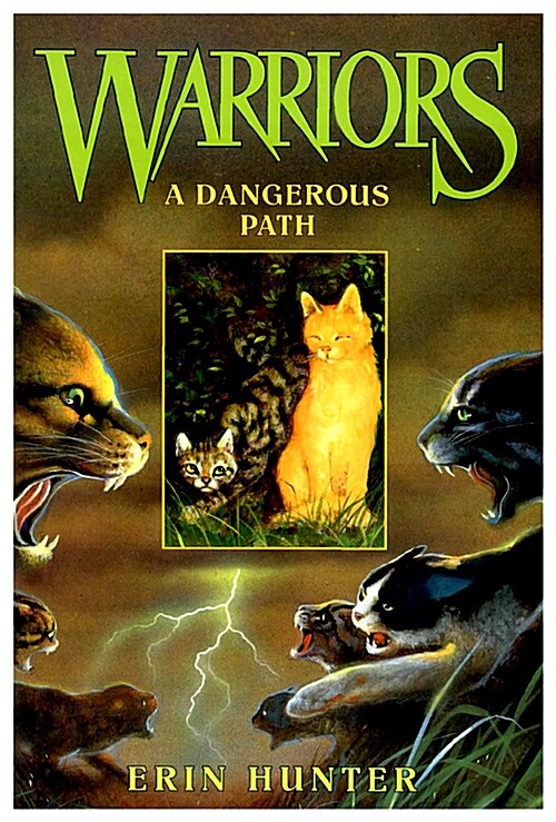 [중고] A Dangerous Path (Paperback)