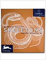 [중고] Skeletons (Paperback, CD-ROM)