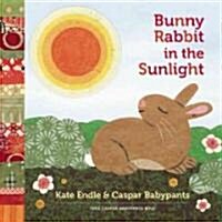 Bunny Rabbit in the Sunlight (Board Books)
