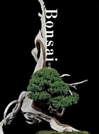 Bonsai (Paperback, Bilingual)