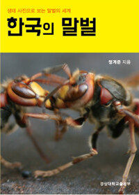 한국의 말벌 :생태 사진으로 보는 말벌의 세계 