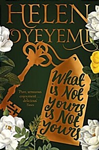 What is Not Yours is Not Yours (Paperback, Main Market Ed.)