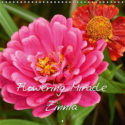 Flowering Miracle Zinnia 2017 : Gorgeous Floral and Colours Makes the Zinnia Impressing (Calendar, 3 Rev ed)