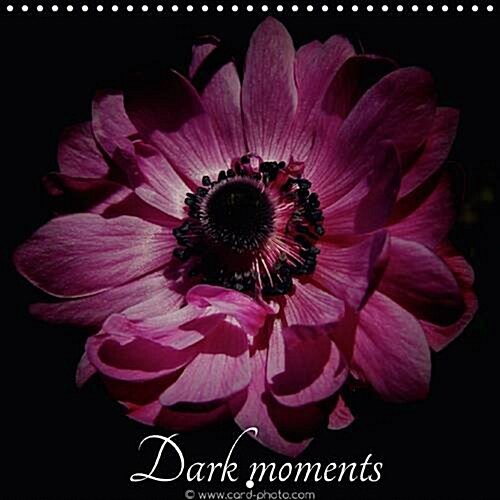 Dark Moments 2017 : Wonderful Floral Images on a Black Background (Calendar, 2 ed)