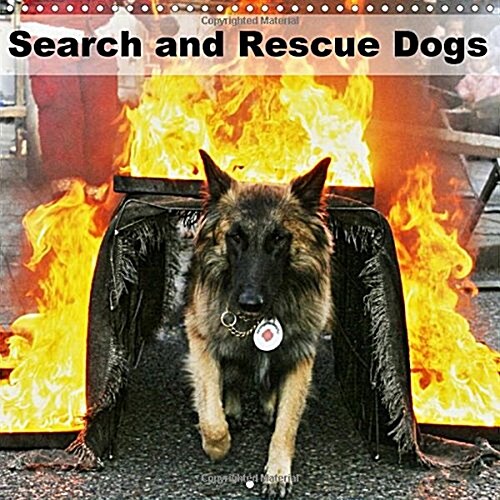 Search and Rescue Dogs 2017 : Search and Rescue Dogs at Work (Calendar, 3 Rev ed)
