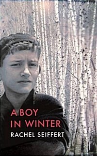 A Boy in Winter (Paperback)