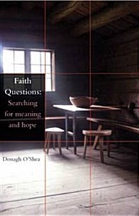 Faith Questions : Searching for Meaning and Hope (Paperback)