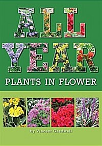 All Year: Plants in Flower (Paperback)