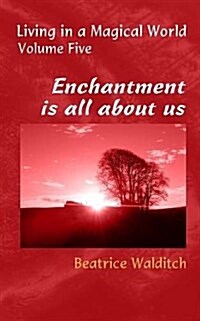 Enchantment is All About Us (Paperback)