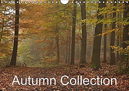 Autumn Collection 2017 : Unusual Images of Autumn in Poland (Calendar, 2 ed)