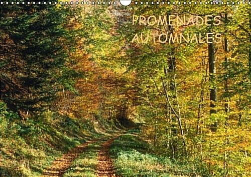 Promenades Automnales 2017 : Une Saison a Nulle Autre Pareille, Lautomne (Calendar, 2 ed)