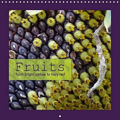 Fruits from Bright Yellow to Fiery Red 2017 : They Grow on Trees and Shrubs. (Calendar, 2 ed)