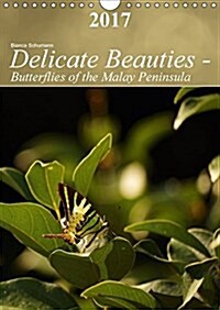Delicate Beauties - Butterflies of the Malay Peninsula 2017 : Tropical Butterflies in Their Natural Environment (Calendar, 3 Rev ed)