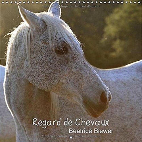 Regard de Chevaux 2017 : Toute la Douceur Dans le Regard Dun Cheval (Calendar, 3 Rev ed)